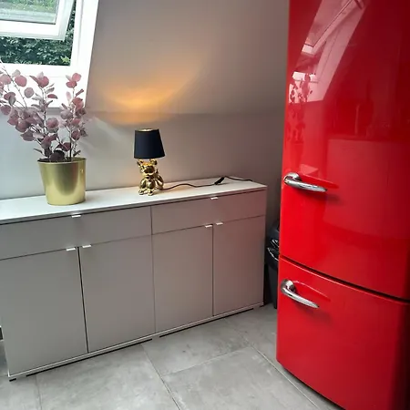Daire Deluxe Loftapartement Big Size Duisburg