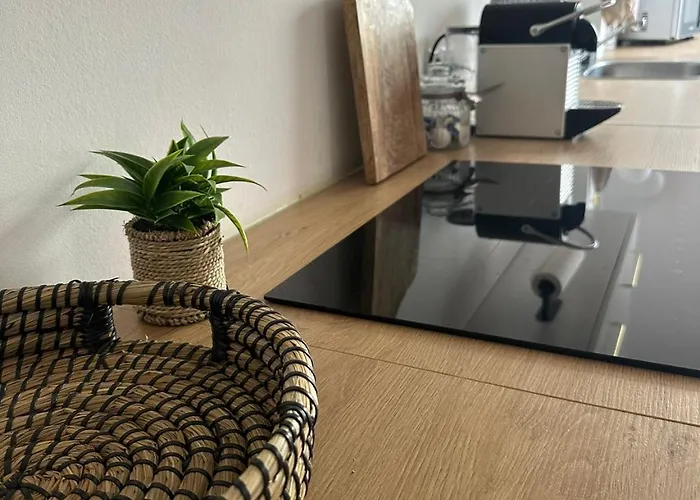 Deluxe Loftapartement Big Size Duisburg